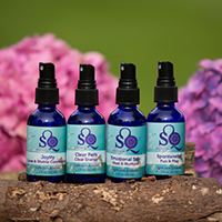 Hydrosol Sprays Set