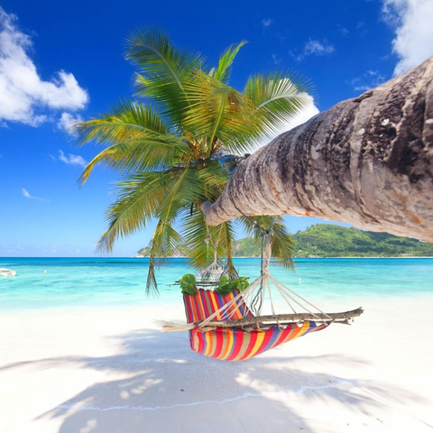 A hammock on a desert island beach