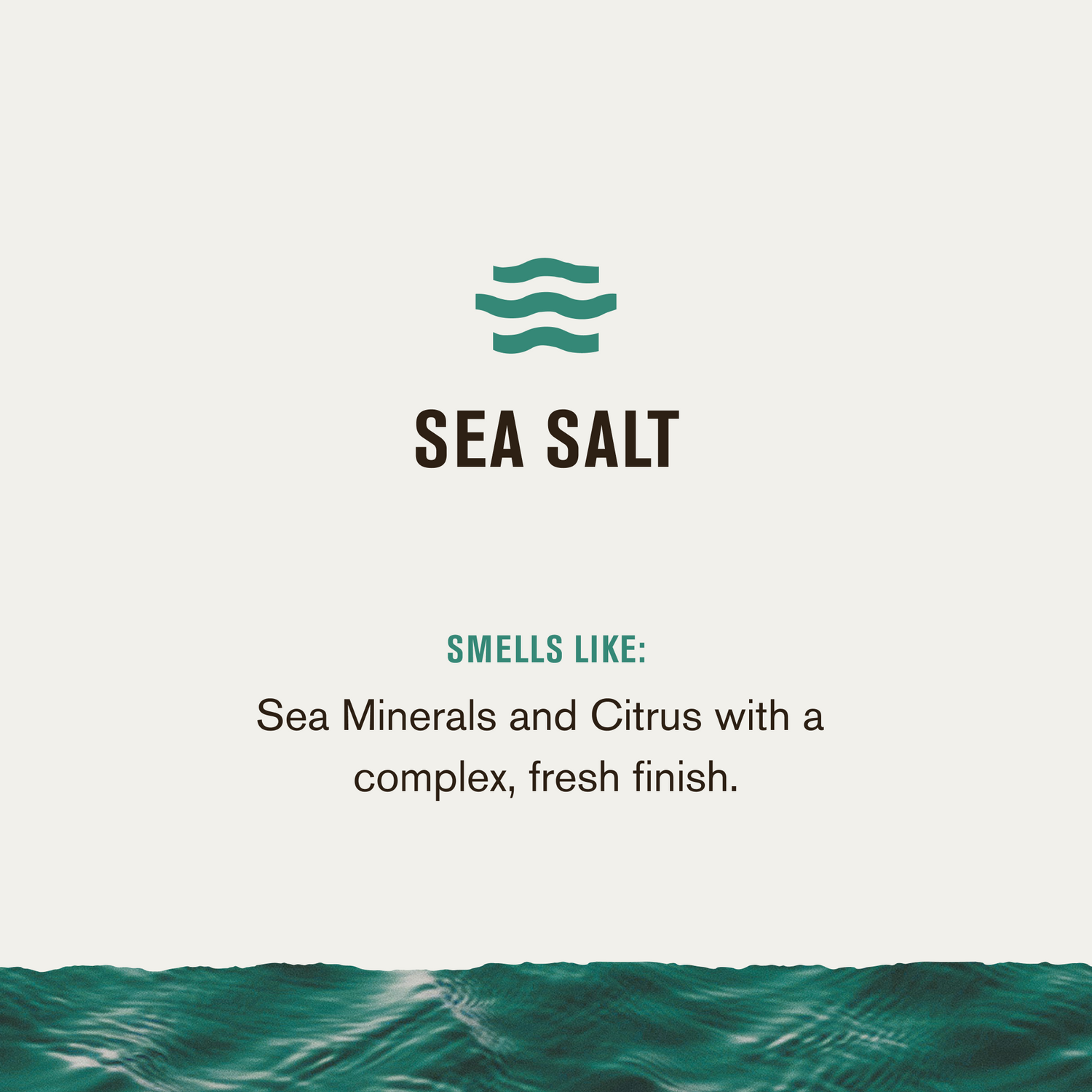 Sea Salt / Standard Sea Salt / Liter (7346569117858)