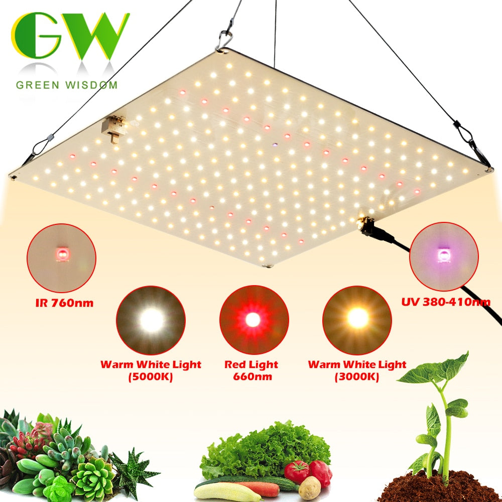 samsung lm281b quantum led