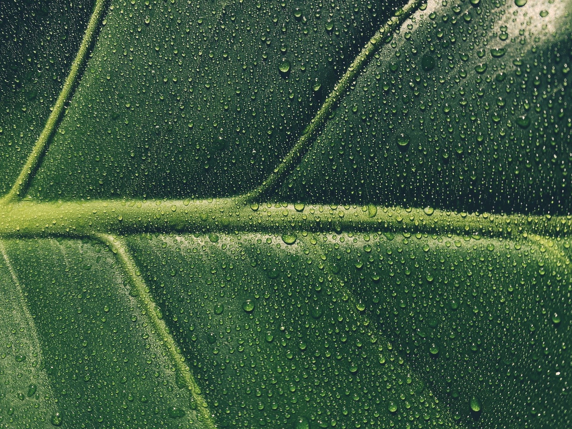 how-much-humidity-is-good-for-your-skin-biocule