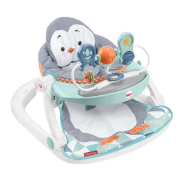 fisher price bumbo seat with tray