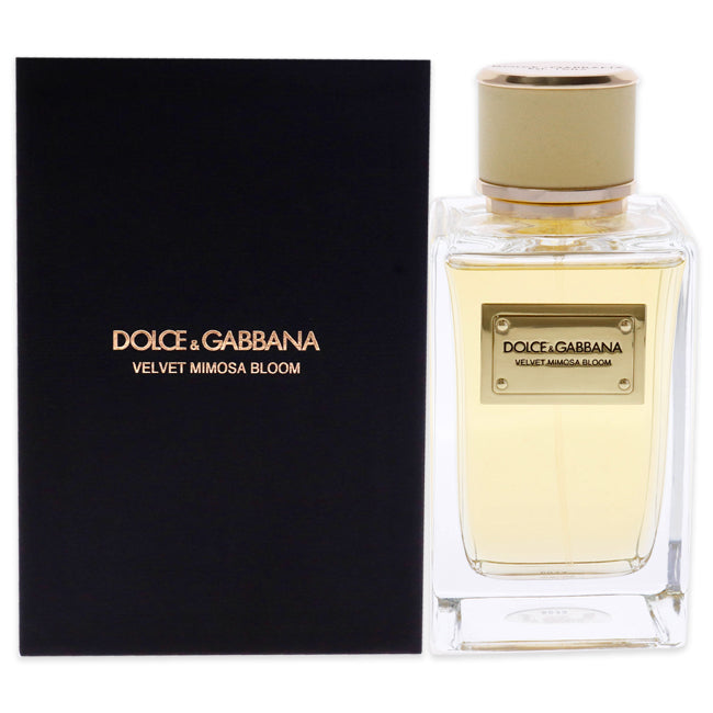 dolce gabbana mimosa bloom