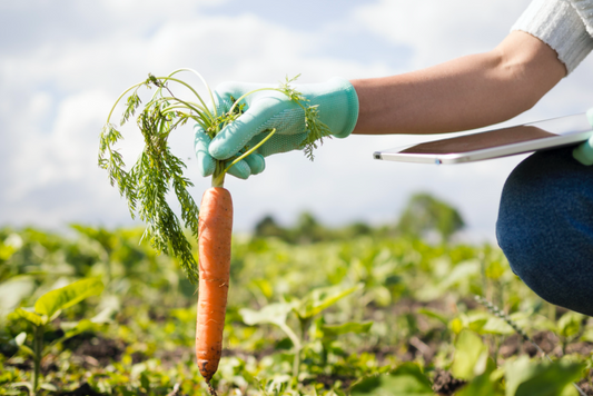 Organic Farming: A Short Defense