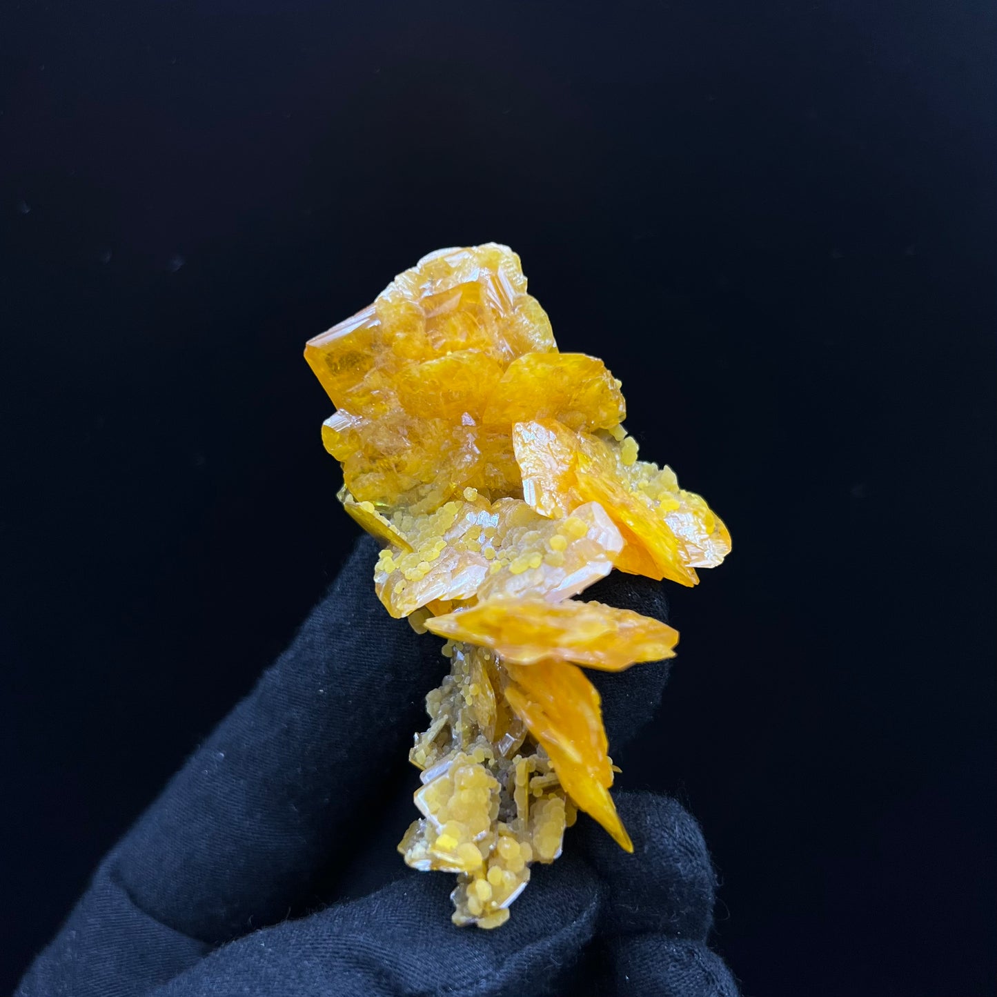 Wulfenite from San Francisco Mine, Sonora, Mexico