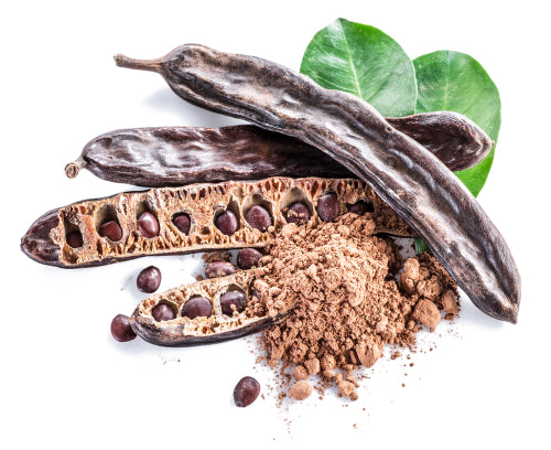 are carob pods safe for dogs