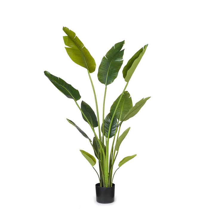 ARTIFICIAL PLANT™ Palm Traveller Green (125cmh)