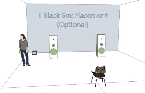 Synergistic Research Black Box setup