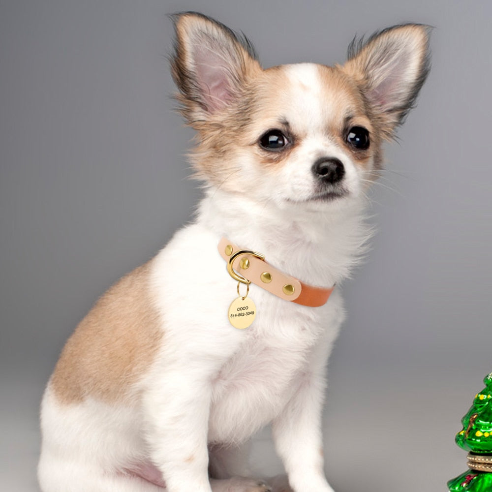 Siena Green Collar & Custom Engraved Tag - Dogs and Horses