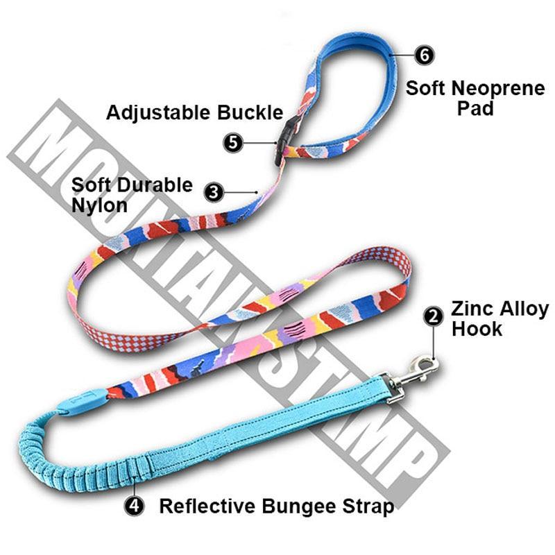 Capri Sunrise Harness & Leash Set - Dogs and Horses