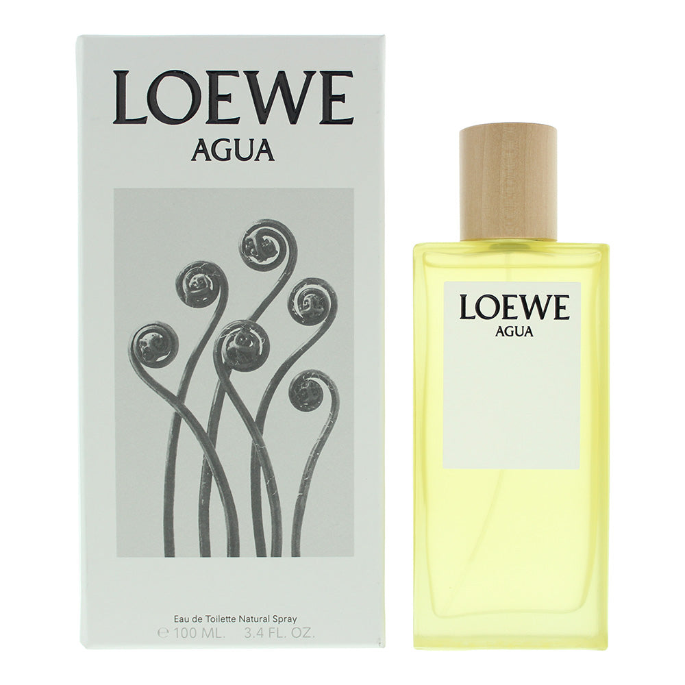 Loewe Agua Eau De Toilette 100ml  | TJ Hughes