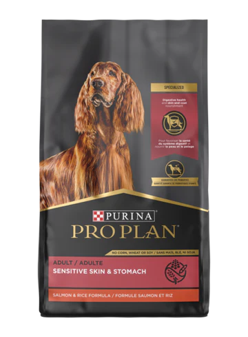 whats the best purina dog food