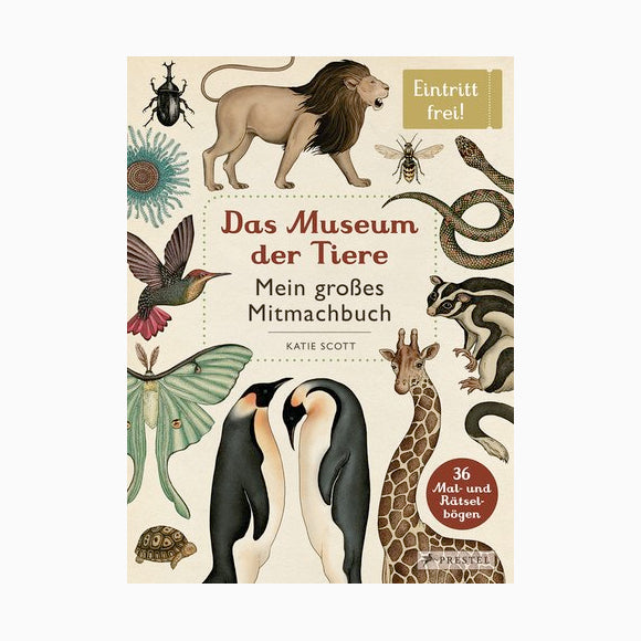 Kreativbuch Museum Der Tiere Mitmachbuch Pappsalon