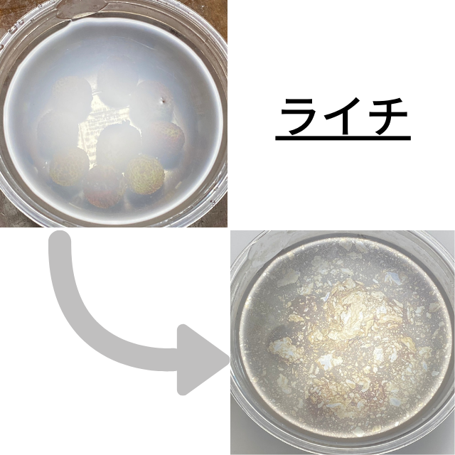 野菜・果物洗浄Kararan