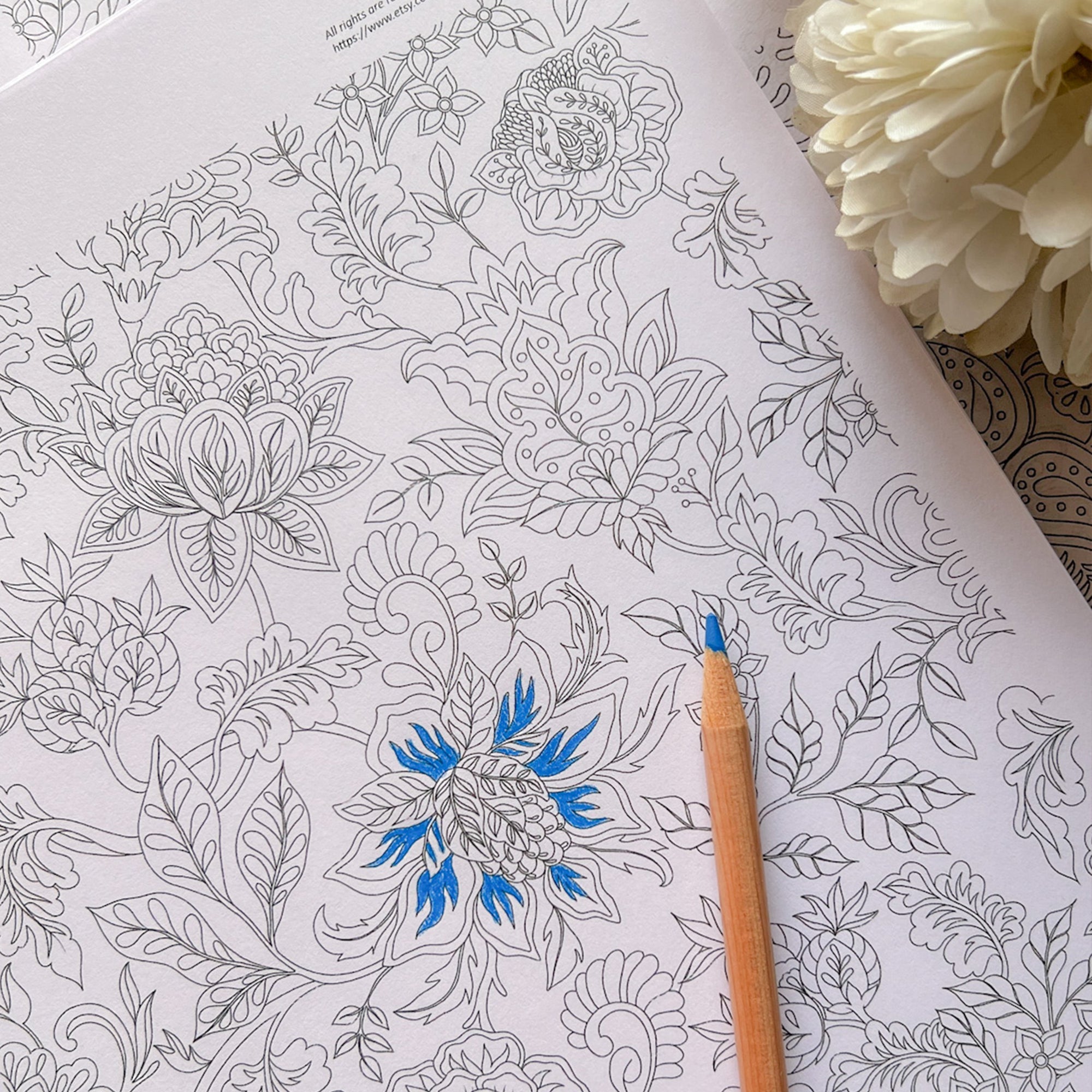 blues coloring pages