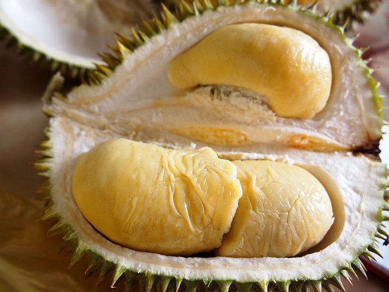 Durian Chanee, D123