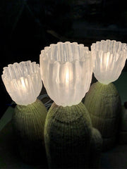cactus lamp