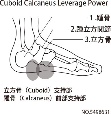 Cuboid Calcaneus Leverage Power