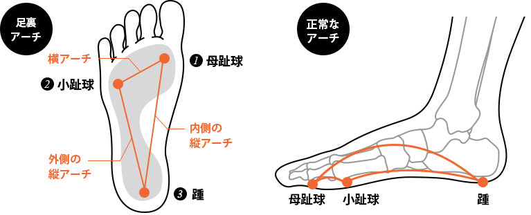 足のアーチの説明