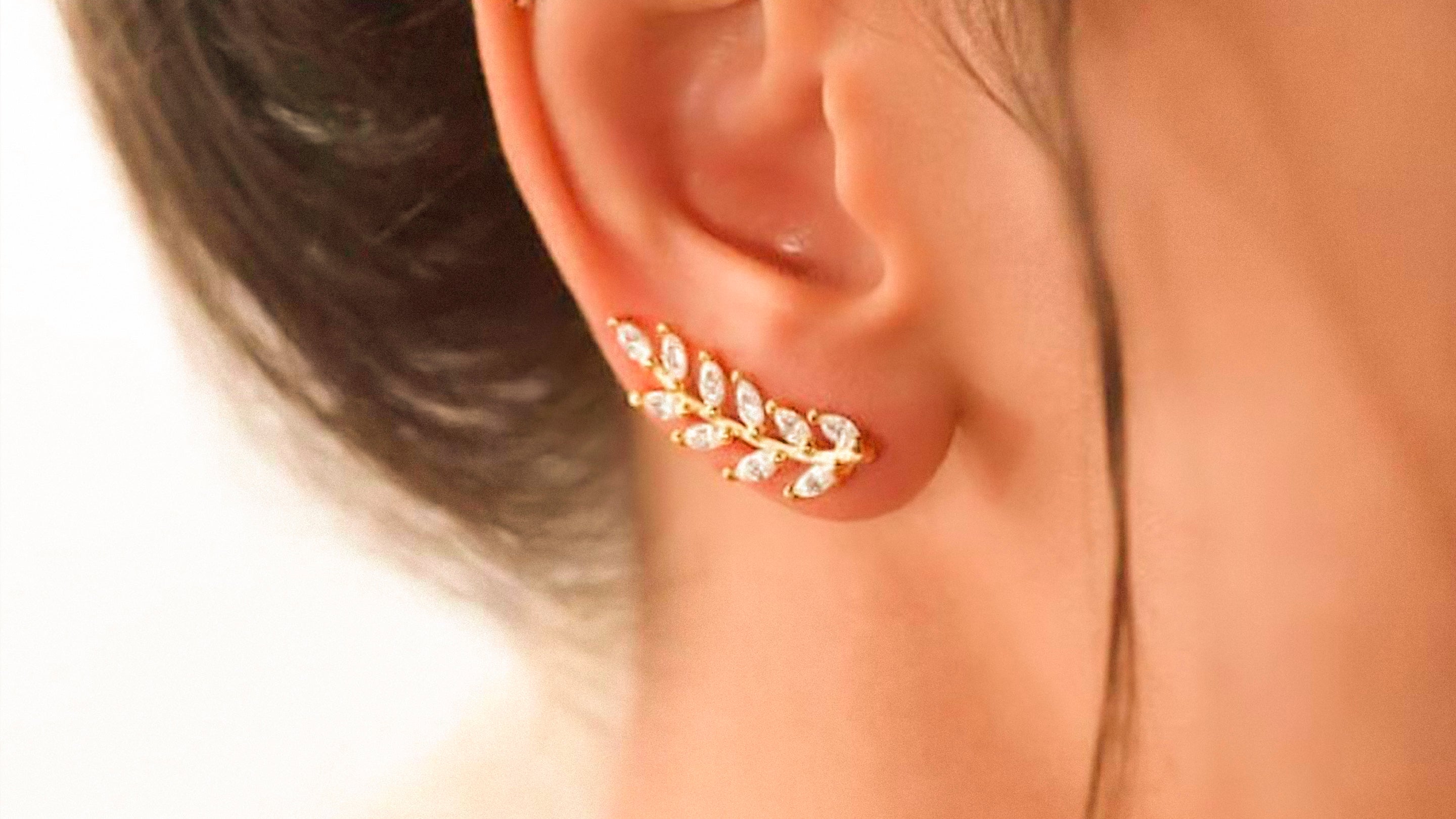 Aretes trepadores | Joyería Castro – Castro