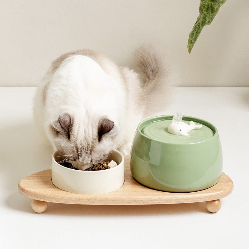 poco Recomendado carta Fuente de agua para gatos de cerámica con filtro – SensSwing