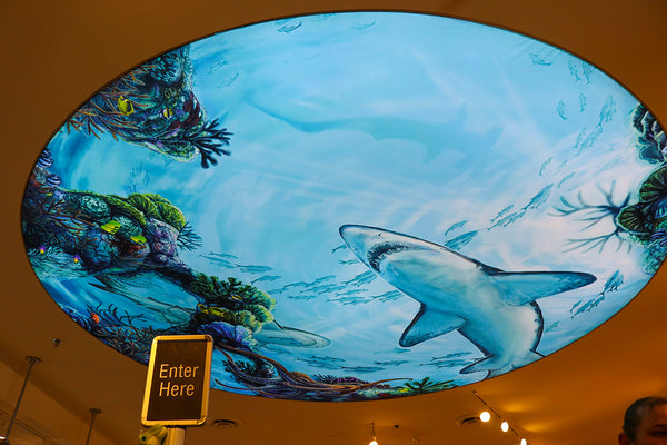 Installed Ceiling Mural at The Florida Aquarium