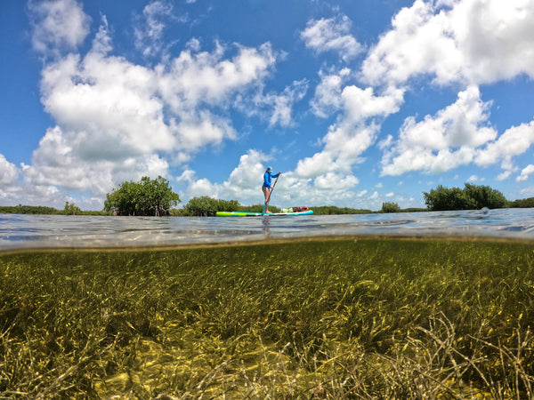 Biscayne National Park