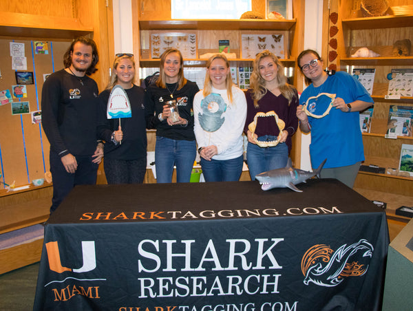 Shark Tagging Miami at "Immersion" art reception in Biscayne National Park