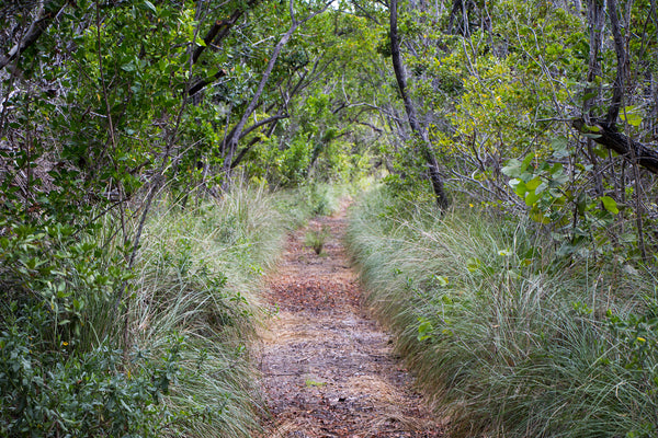 Biscayne National Park Spite Highway on Elliot Key 