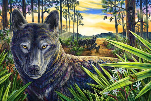 Florida Black Wolf Painting