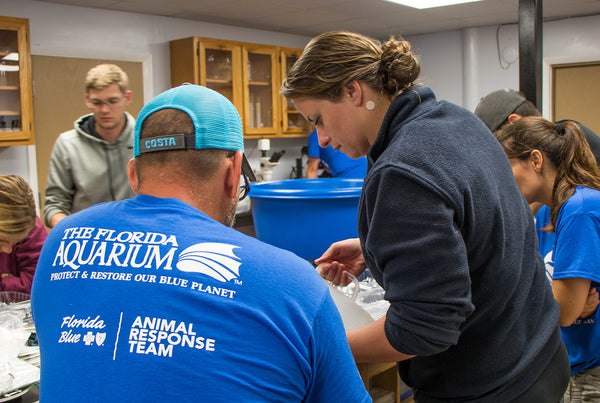 Florida Aquarium Team at Keys Marine Lab