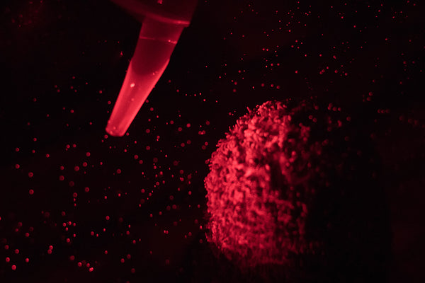 Coral Spawning at Keys Marine LAb