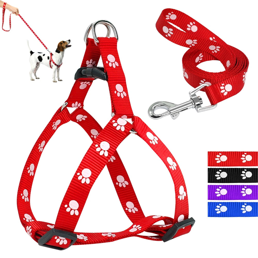 paw print dog leash