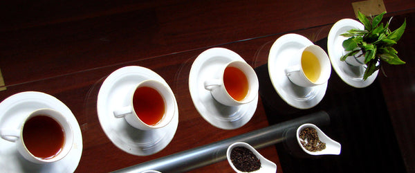 Tea Tasting BRUU