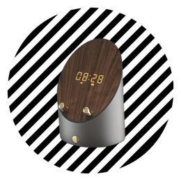Smart Wooden Speaker - TeqUnik