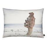 Beach Rock Pillow