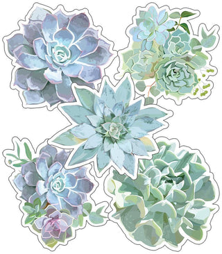 Succulents Colorful Cut-Outs® (Assorted)