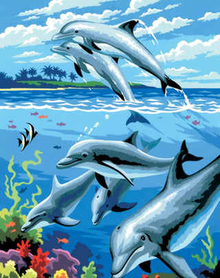 PBN JR Small Dolphin