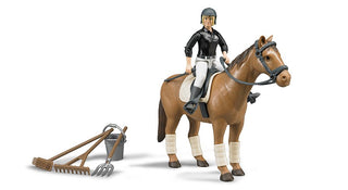 Horse, woman and riding accessories