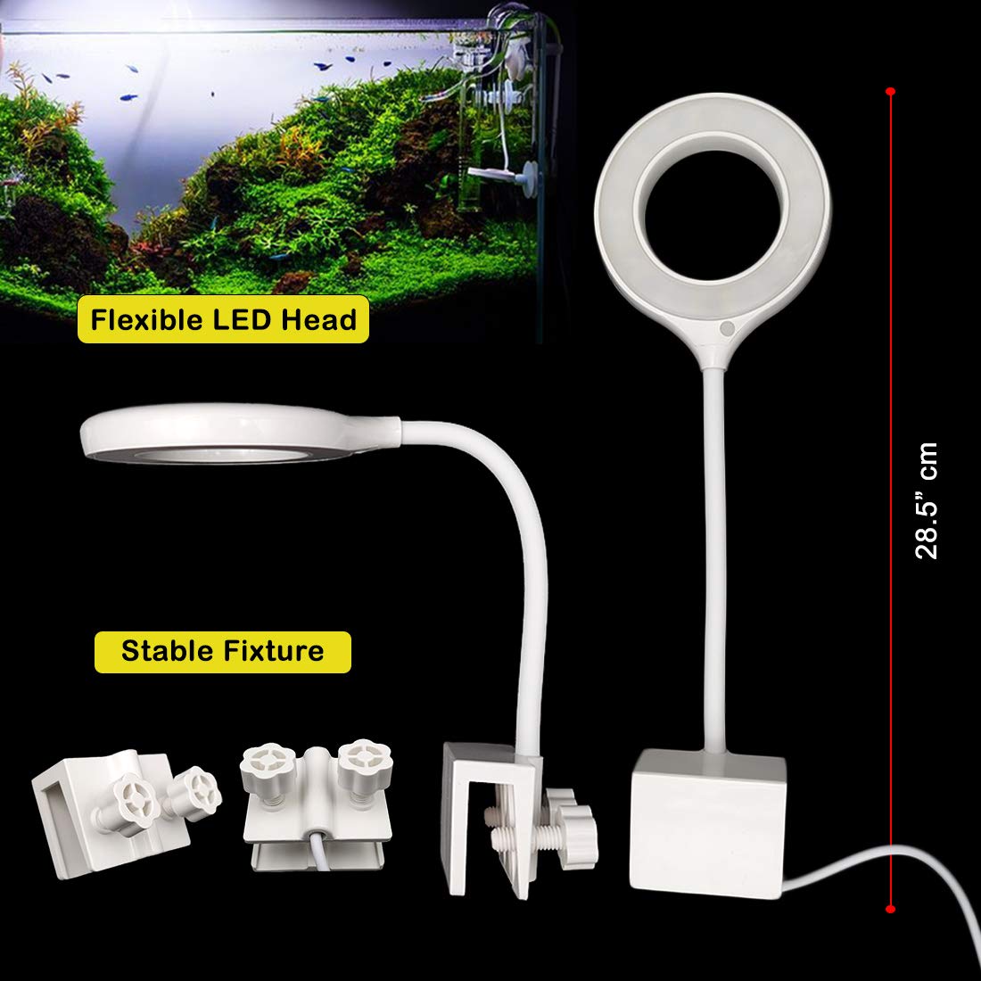 diamant Ieder twaalf RS Electrical Aquarium Fish Bowl Clip On Clamp LED Light Lamp for Smal –  BettaKart
