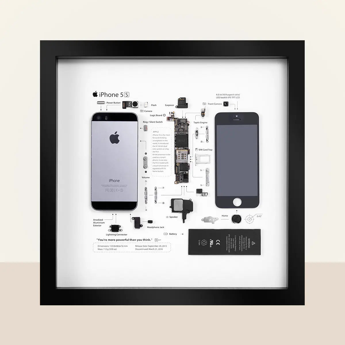Monteur Veroveren Amuseren Xreart iPhone 5S Teardown Framed Artwork, Best Geek Gift Idea