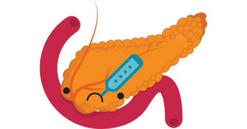 Understanding the Pancreas?