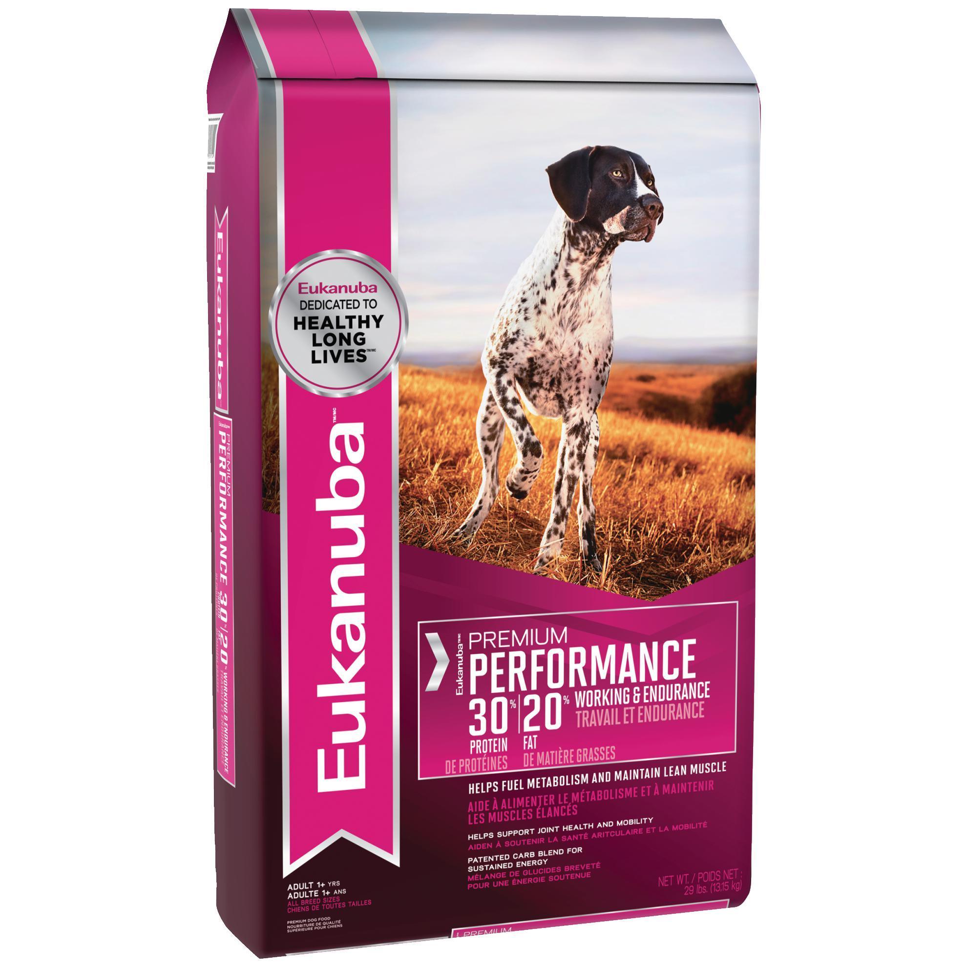 eukanuba dalmatian