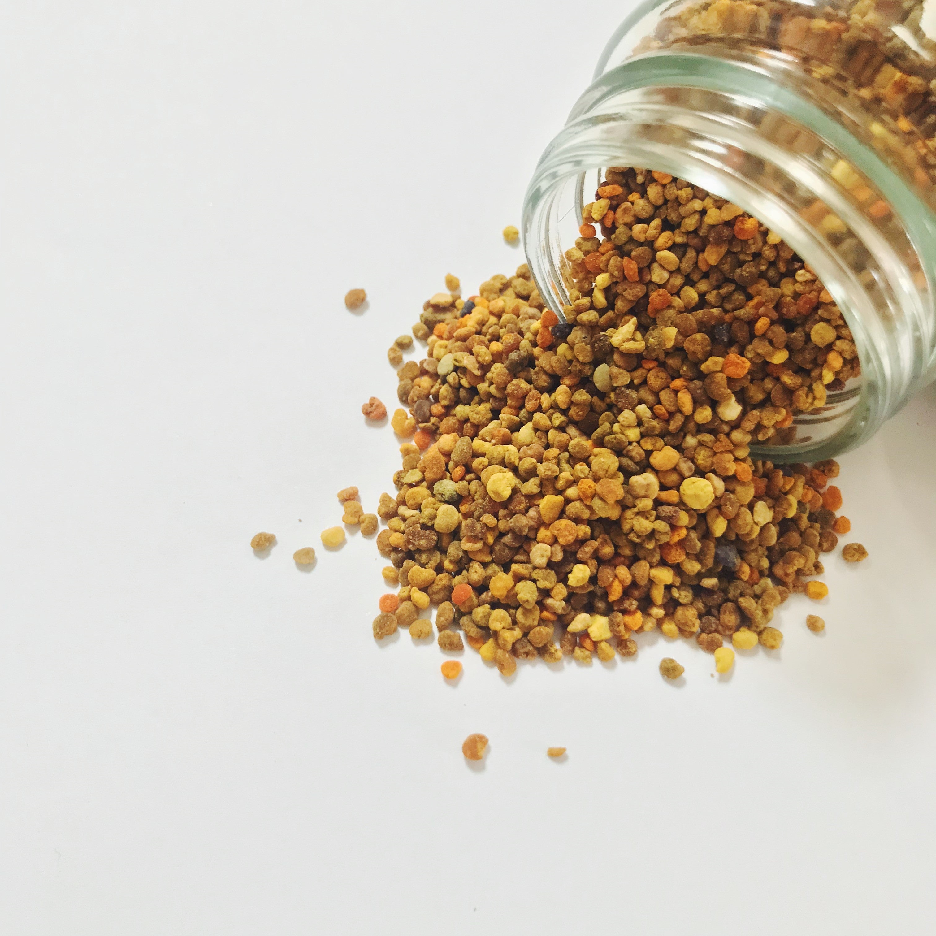 does bee pollen help dogs with allergies