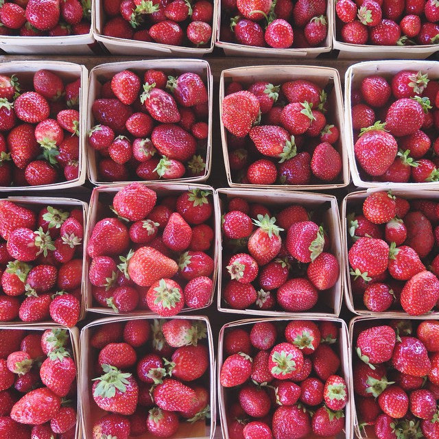 Jean-Talon Market | Montreal, Quebec