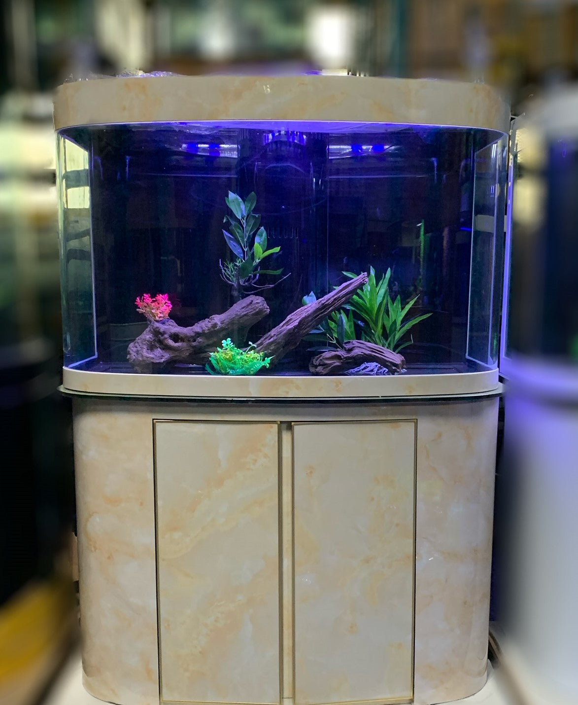 130 gallon GLASS BOW FRONT AQUARIUM for sale! NEW Northeast Aquariums LLC