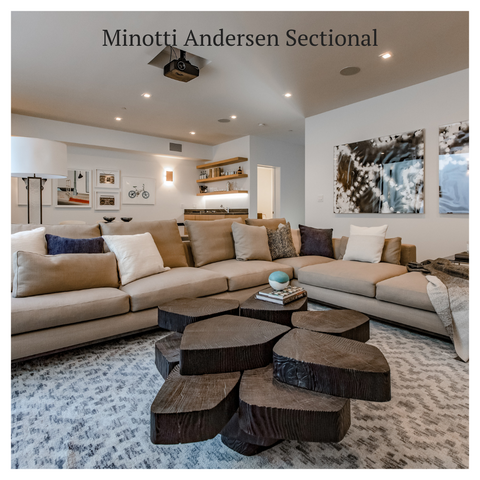 Modern Resale consignment Minotti Andersen sofa Testimonial