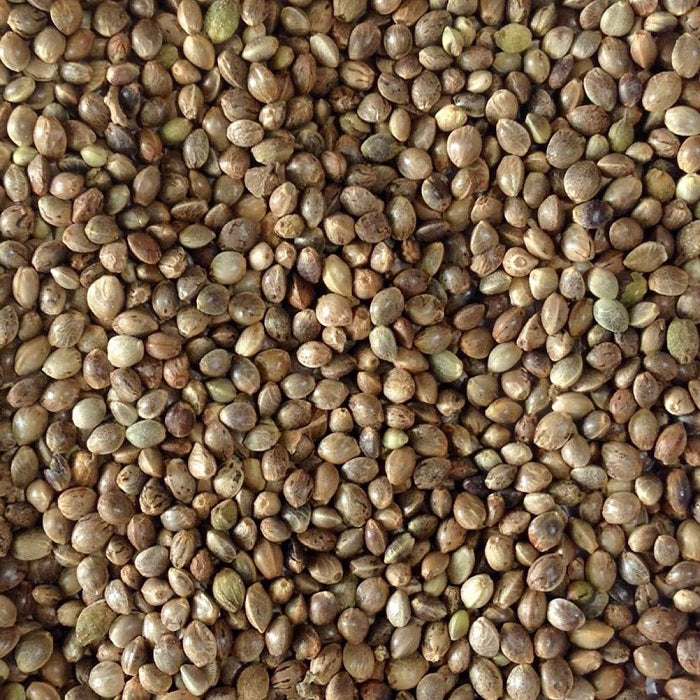 hemp seed bird food