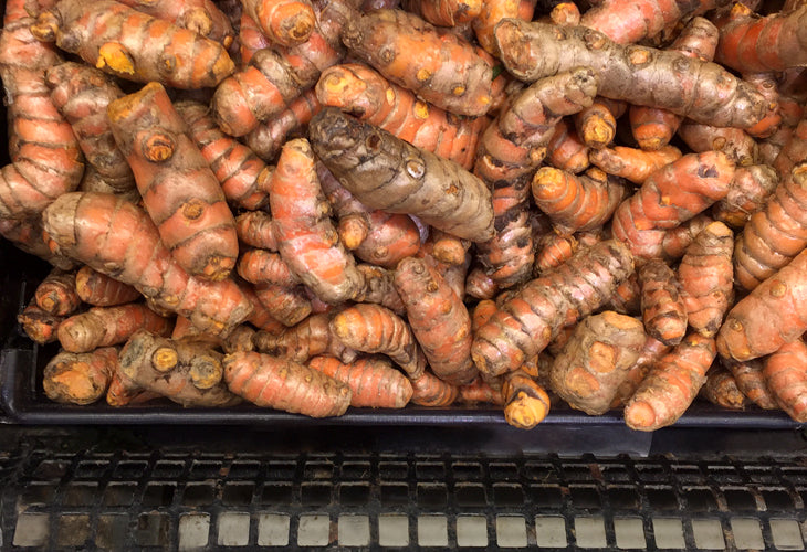 Whole turmeric looks like this, and can easily be bought in the store.  A little goes a long way.