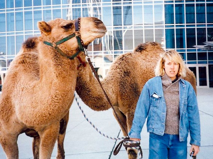 Lee Selman, camels, and Paleo Treats